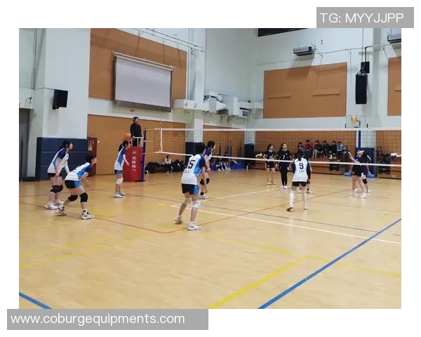 排球心理素质评比揭晓上海排球队荣获第二名成就引关注