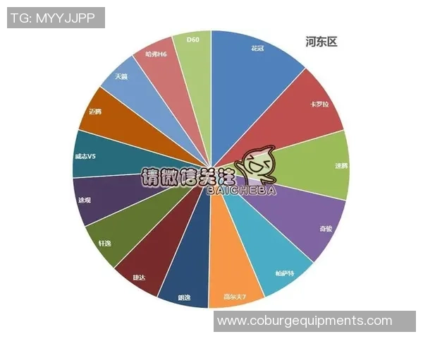 独家分析：成都羽毛球队的速度对比