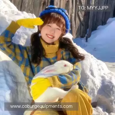 沈廷衡